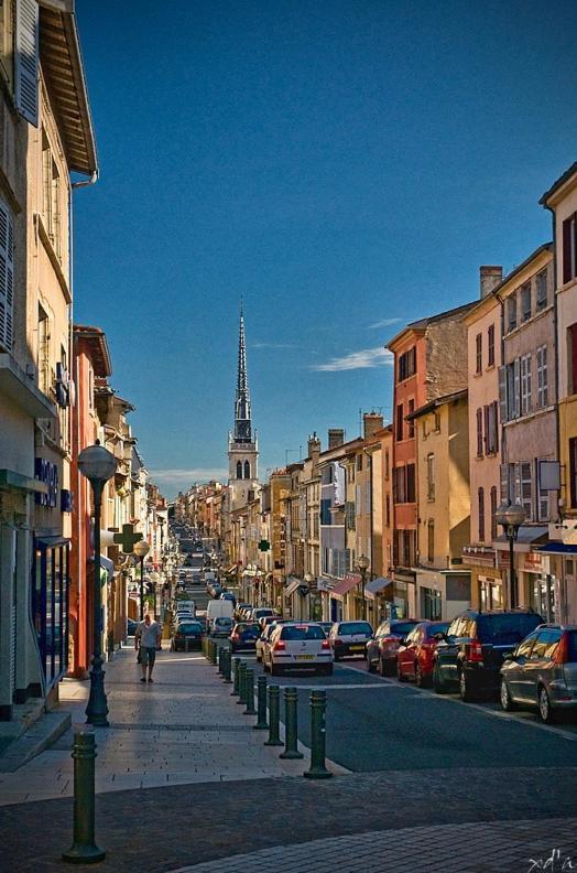 Appartamento Le Cosy Twin Villefranche-sur-Saône Esterno foto